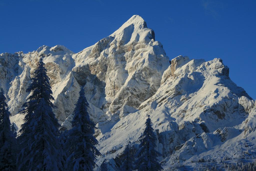 Hôtel Rifugio Passo Staulanza à Zoldo Alto Extérieur photo