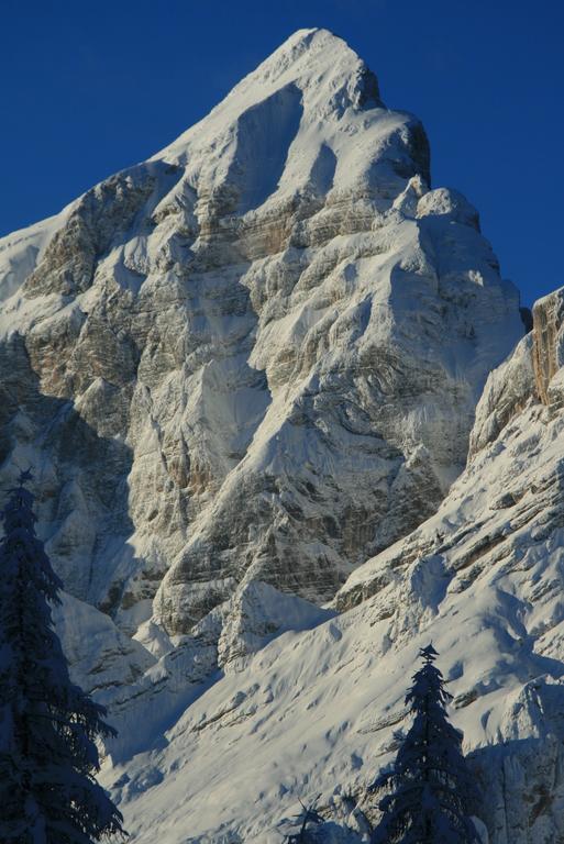Hôtel Rifugio Passo Staulanza à Zoldo Alto Extérieur photo
